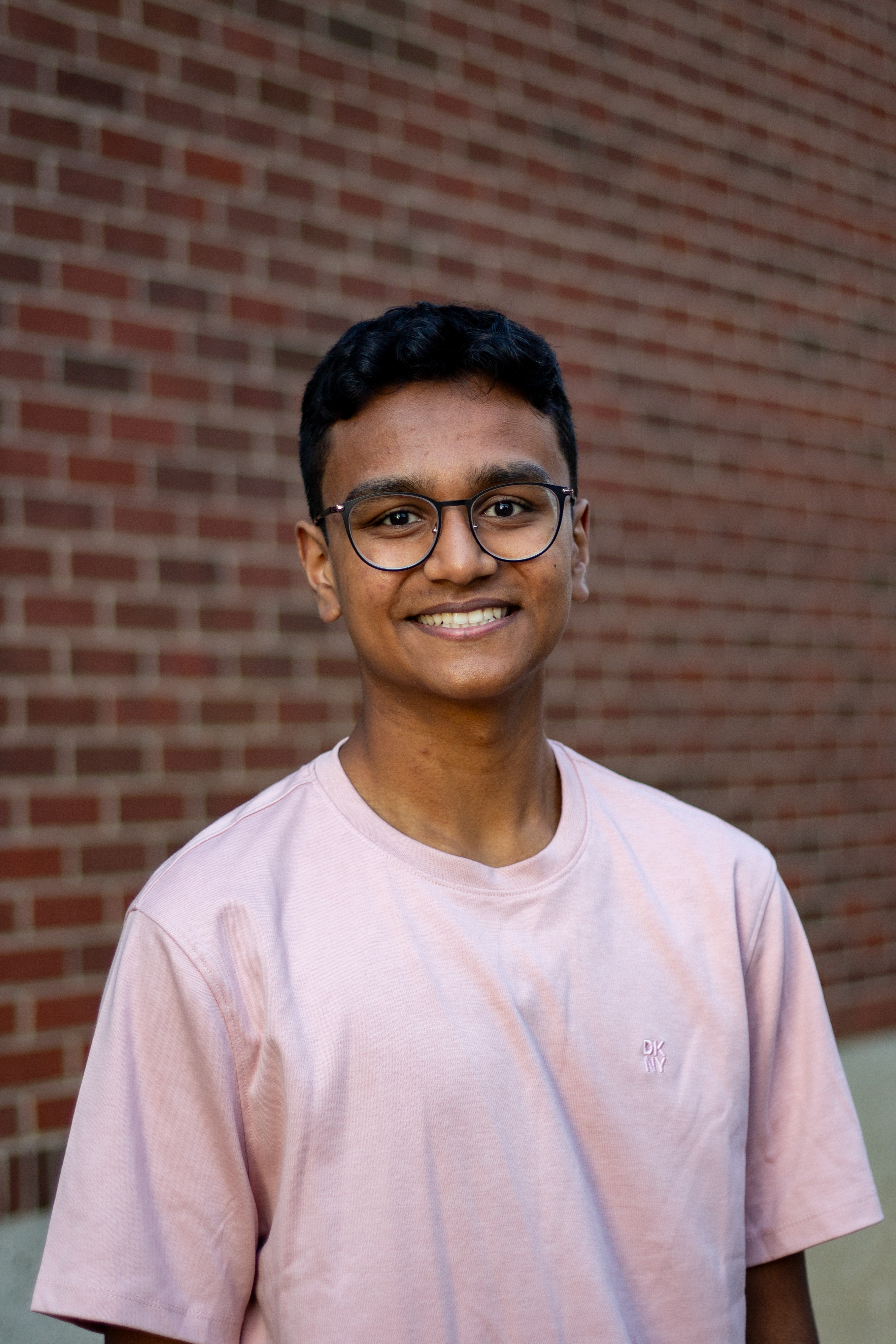 Krishna Mano